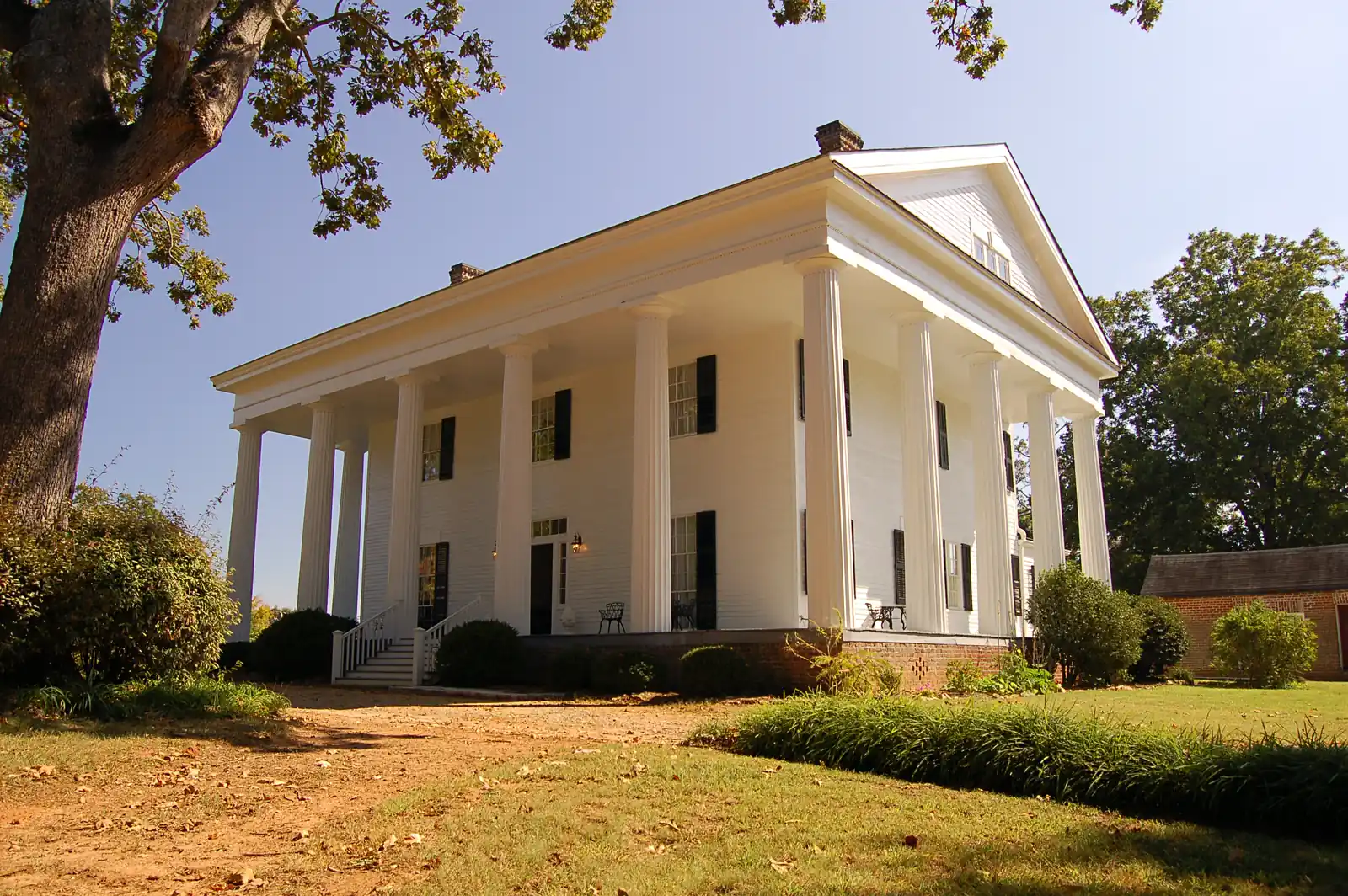 Low-angle three-quarter view of a white Greek Revival temple-form house in strong autumn sun: fluted columns wrap the front and side porches under a deep entablature and pediment, with black shutters, brick chimneys and a brick foundation. A large oak trunk and branches frame the left and top edges. A dirt drive with fallen leaves and a lawn border of tall grass run across the foreground, and a low red-brick outbuilding stands at right. Deep blue sky.