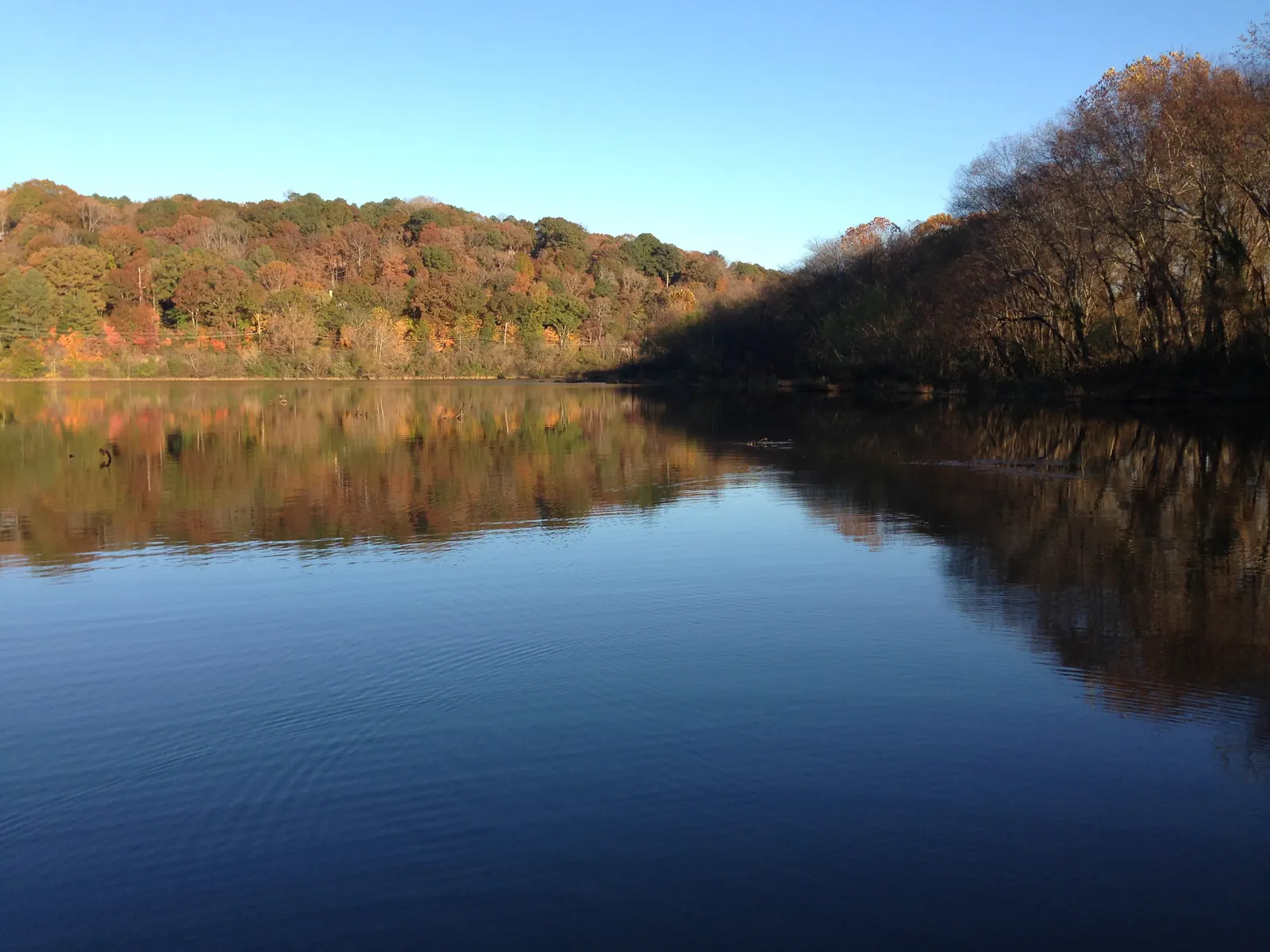 A perfectly still river at low sun in late autumn: wooded hills in orange, rust, gold and green reflect in deep-blue water that fills the lower two-thirds of the frame. A shadowed bank of bare and bronze trees runs along the right, and a faint power line crosses the hillside on the left. Cloudless pale-blue sky.