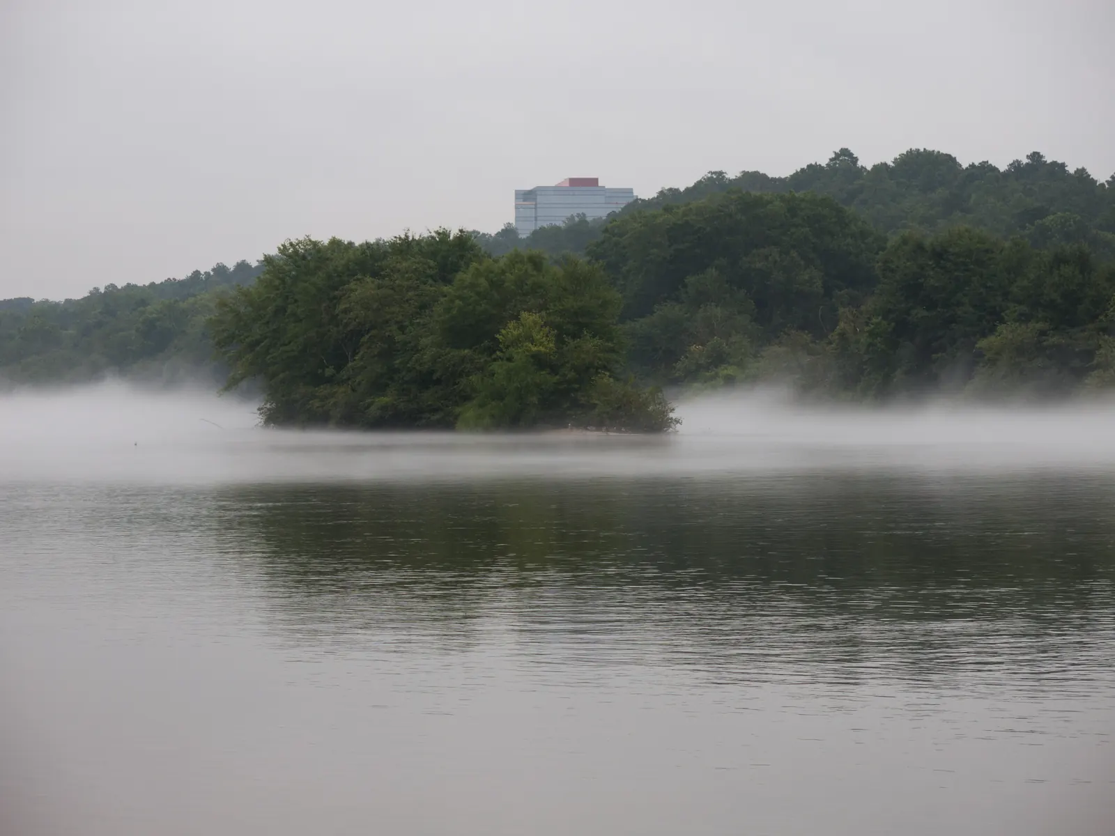 A wide, calm grey-green river under an overcast sky, with low white mist lying on the water. A dense wooded island or point sits mid-frame, with tree-covered hills behind it. Above the treeline at upper centre stands a pale glass-and-panel mid-rise office building with a maroon rooftop block. No people or boats.