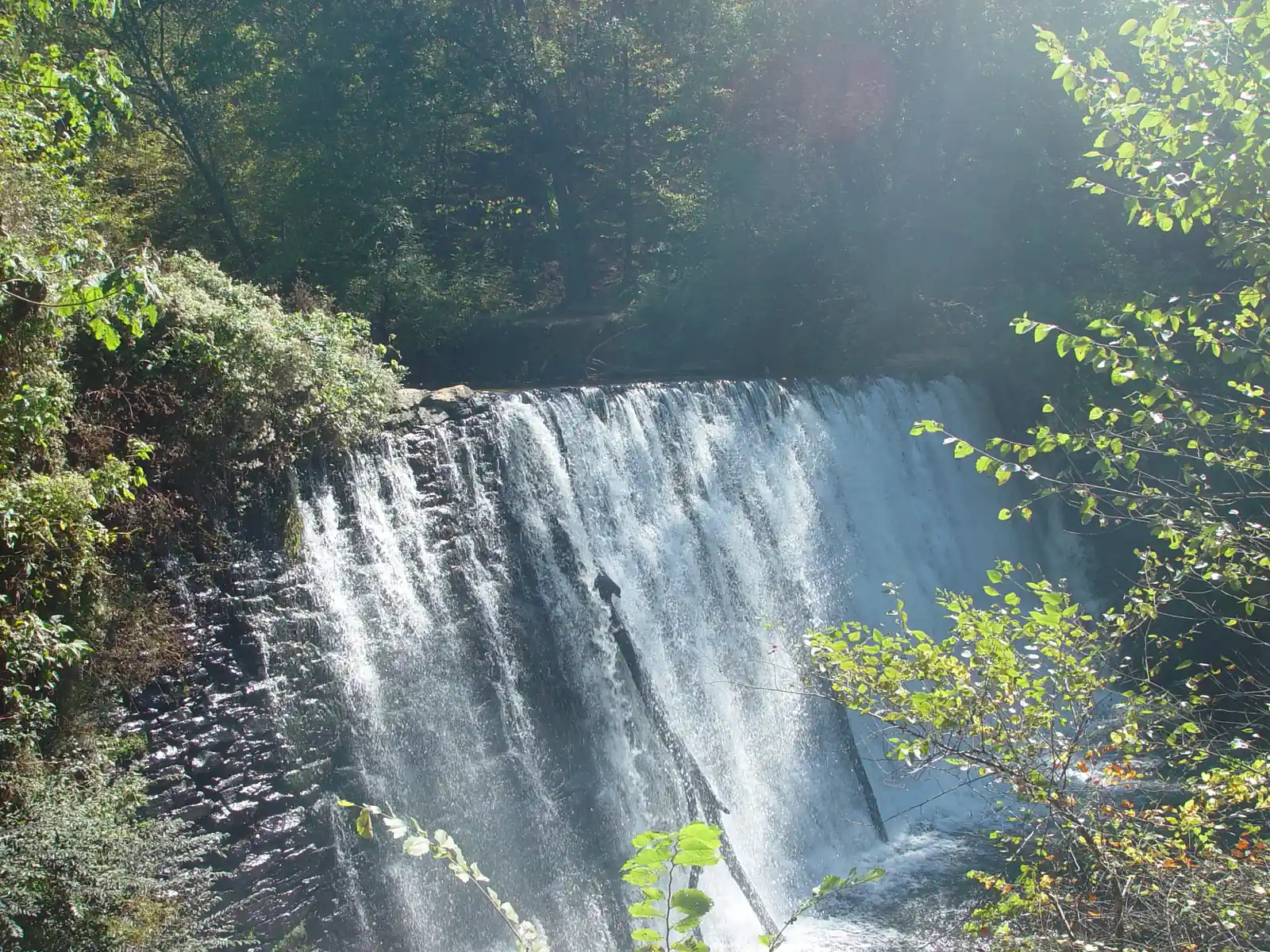 Close, slightly elevated view of a broad curtain of white water pouring over a dark, stepped stone dam face, with spray and churning water at its foot. Shafts of hazy sunlight slant down through the forest behind, and a lens flare glows top-centre. Sunlit green leaves fill the right side and lower edge, and a fallen log leans against the dam face in the centre.