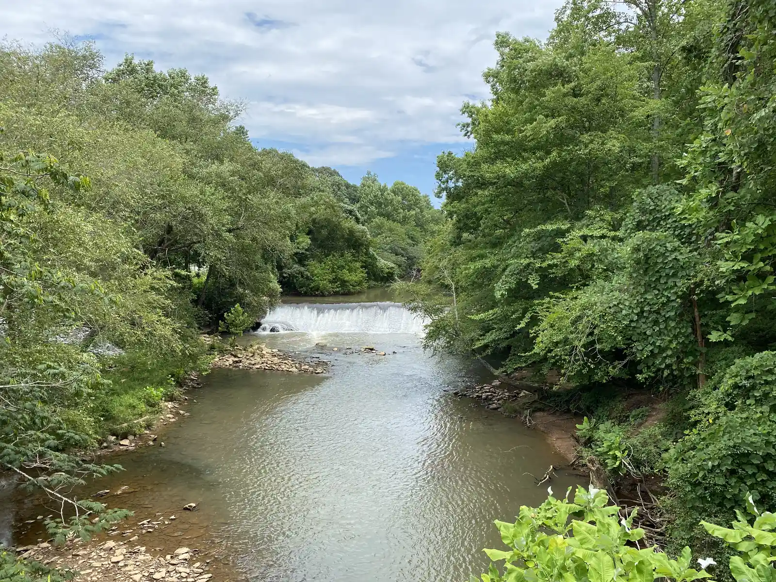 View from above down a calm brown-green creek framed by dense summer trees on both banks. In the middle distance, water spills in a white curtain across the full width of a straight, low dam. Rocky gravel bars and scattered stones lie in the shallows of the foreground, and broad leaves overhang the bottom-right corner. Blue sky with puffy white clouds.